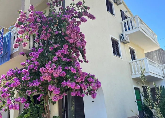 Apartmani Roko