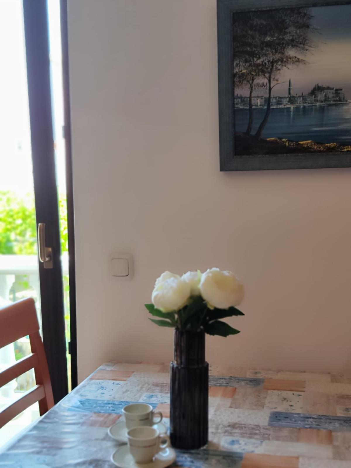 Apartmán Roko